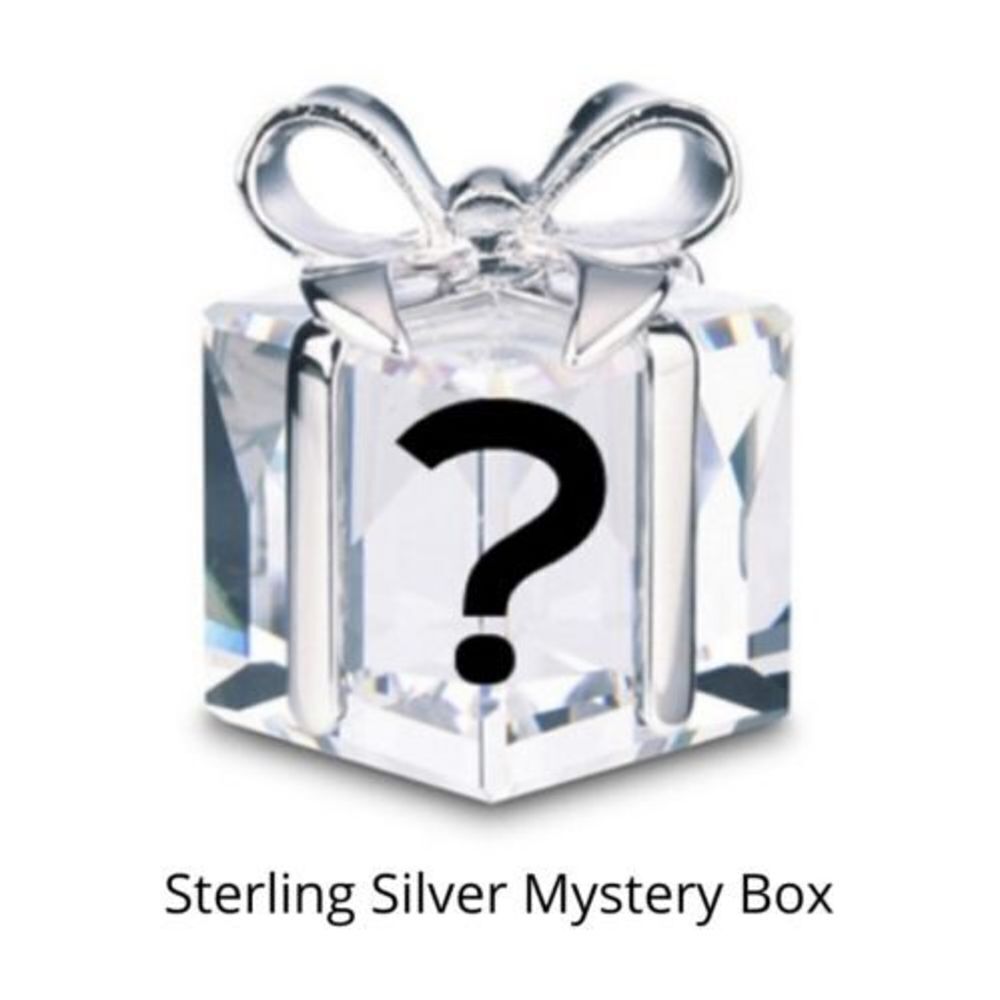 Authentic 925 Sterling Silver Mystery Box/Bundle